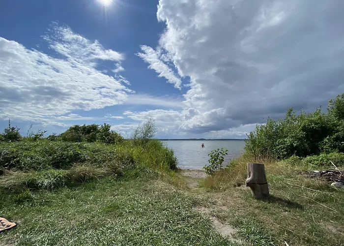 Plauer אלט שוורין